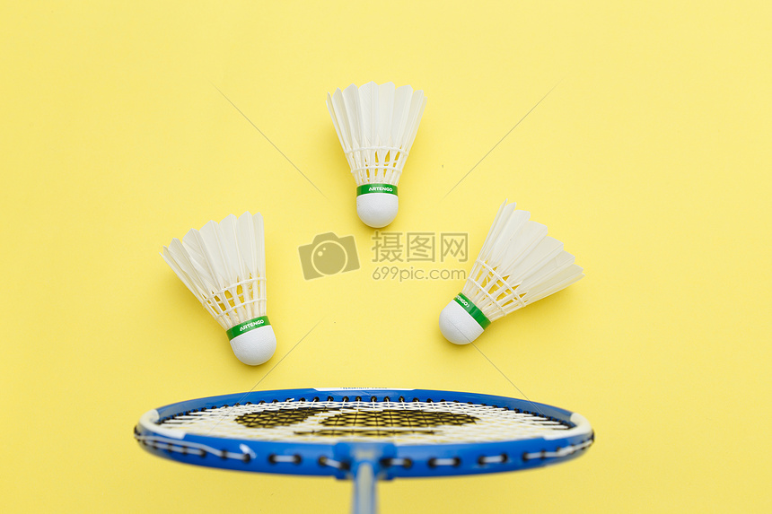 的尊重与对 的尊重与对