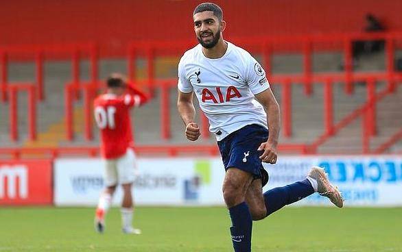 析师对席尔 析师对席尔