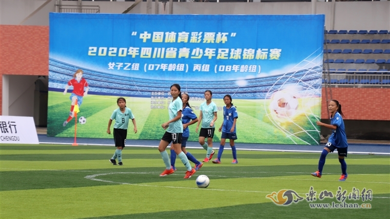 参与度